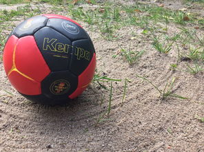 乐鱼体育app官网入口-全国老年人健身球操赛展银发激情，老年健身球类